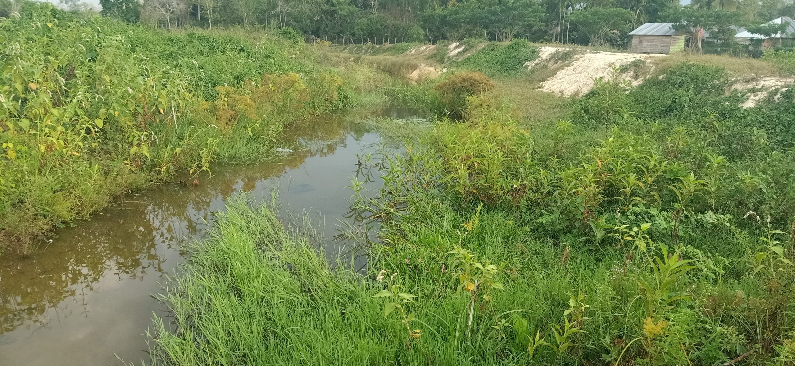 Mantan Kabid SDA: Proyek Normalisasi Sungai di PUPR Konawe Dikelola Langsung PPK dan Kadis