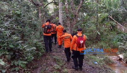Warga Asal Paku Jaya Konawe Hilang saat Mencari Kayu Bakar di Hutan
